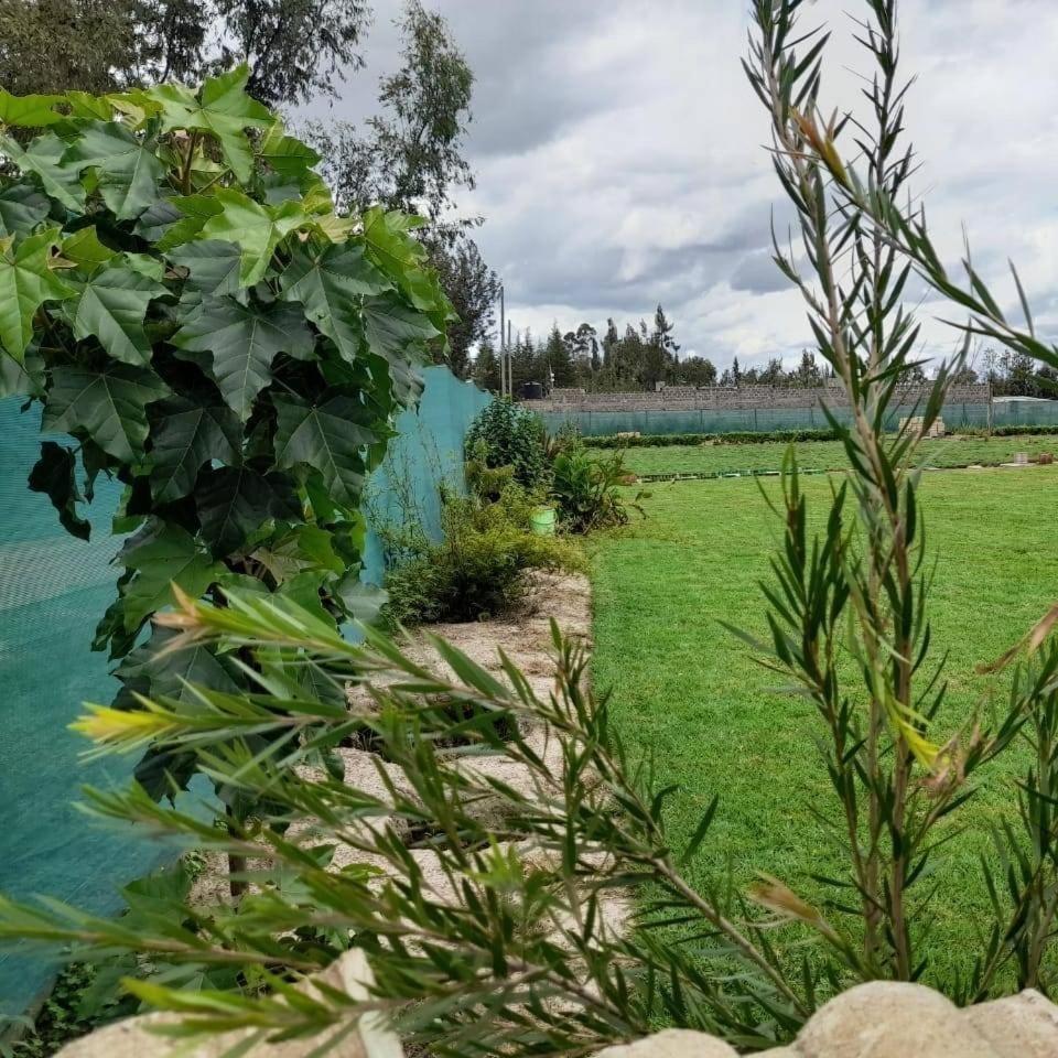 Hotel Rafiki House Nanyuki Exterior foto